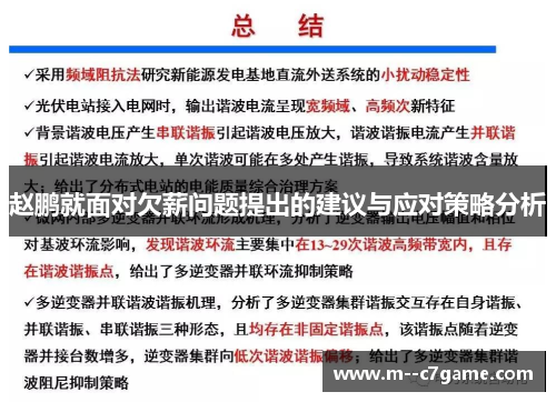 赵鹏就面对欠薪问题提出的建议与应对策略分析 赵鹏就面对欠薪问题提出的建议与应对策略分析
