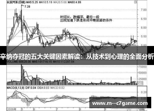 辛纳夺冠的五大关键因素解读:从技术到心理的全面分析 辛纳夺冠的五大关键因素解读:从技术到心理的全面分析