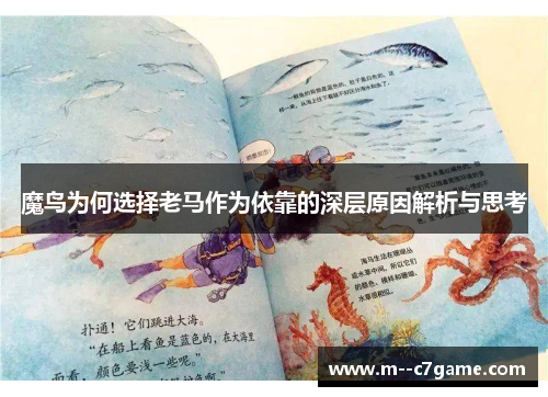 魔鸟为何选择老马作为依靠的深层原因解析与思考