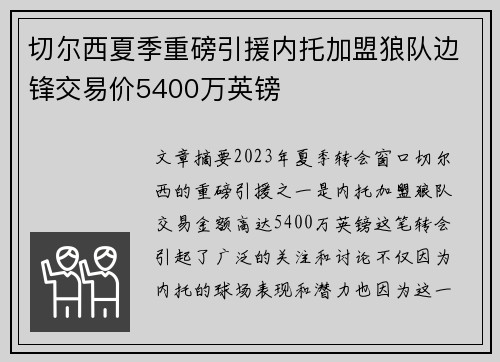 切尔西夏季重磅引援内托加盟狼队边锋交易价5400万英镑